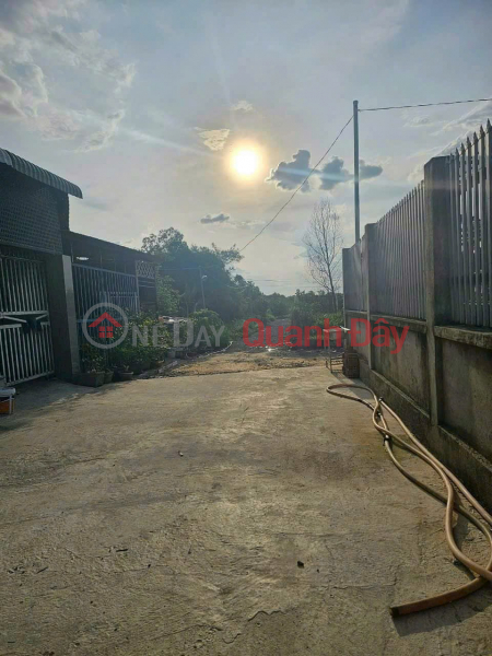 Property Search Vietnam | OneDay | Residential, Sales Listings, Selling 563m2 of land with separate car road in Thanh Phu commune, H, Vinh Cuu