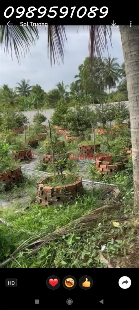Owner needs to sell 1000m2 of land at District 35 Road, Vinh Kim Commune, Chau Thanh _0