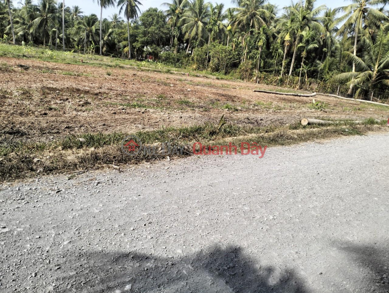 Owner Needs To Sell Beautiful Land Lot In Phu Quy Hamlet, Vinh Huu Commune, Go Cong Tay District, Tien Giang Sales Listings