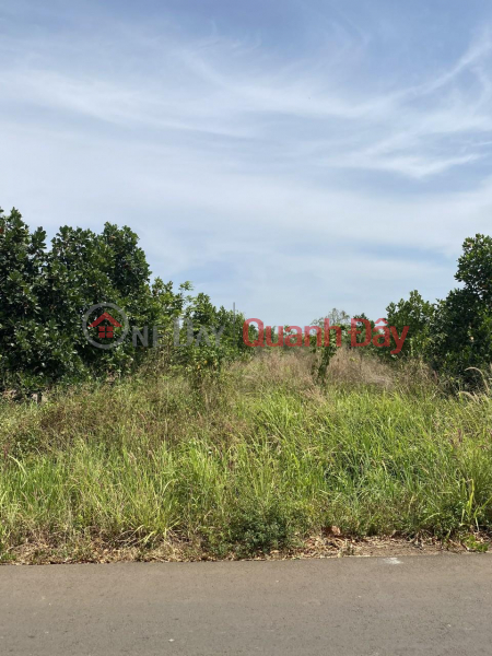 Property Search Vietnam | OneDay | Residential Sales Listings BEAUTIFUL LAND - PROFITABLE INVESTMENT - Owner Needs to Sell Quickly Plot of Land in Bao Binh Commune, Cam My, Dong Nai