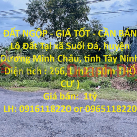 GROUNDED LAND - GOOD PRICE - FOR SALE Land Plot In Duong Minh Chau - Tay Ninh _0