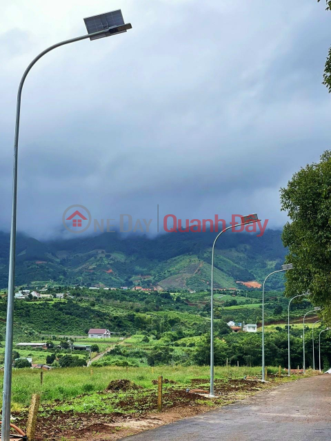 BEAUTIFUL LAND - GOOD PRICE - Owner Needs To Sell Land Lot Next To Da Lat In Dong Thanh Commune, Lam Ha _0