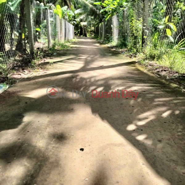 Property Search Vietnam | OneDay | Residential Sales Listings BEAUTIFUL LAND - GOOD PRICE - Land Lot For Sale In Phong Nam Commune, Giong Trom District, Ben Tre