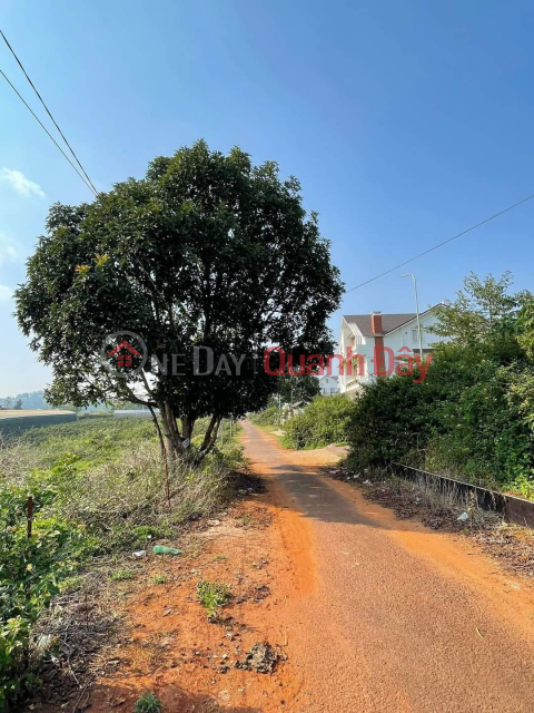 [Hot News] Discount Urgent sale of beautiful Villa Land in Mang Ling, Da Lat 215m2 price only 4.2 billion _0