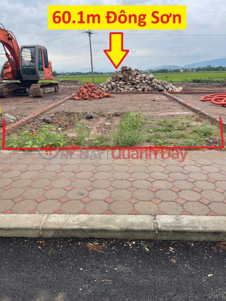 OWNER SELLS 60.1M2 LAND LOT IN DONG SON-CHUONG MY-HANOI Sales Listings