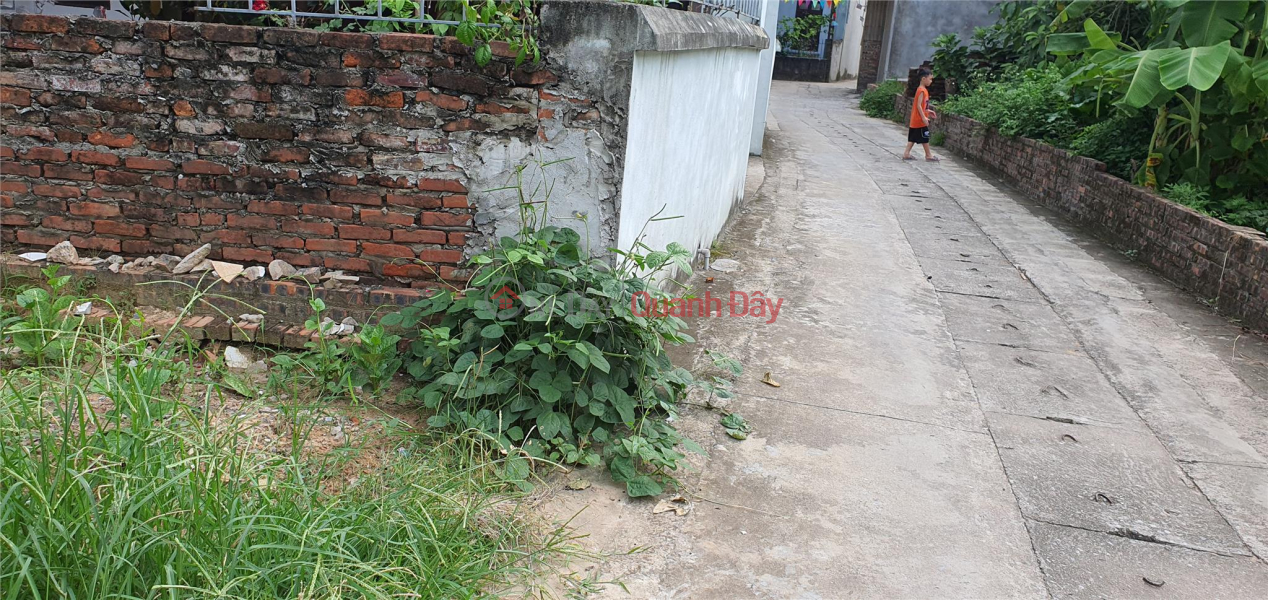 Property Search Vietnam | OneDay | Residential Sales Listings Beautiful land in Dong Anh near Vo Nguyen Giap street 100m2