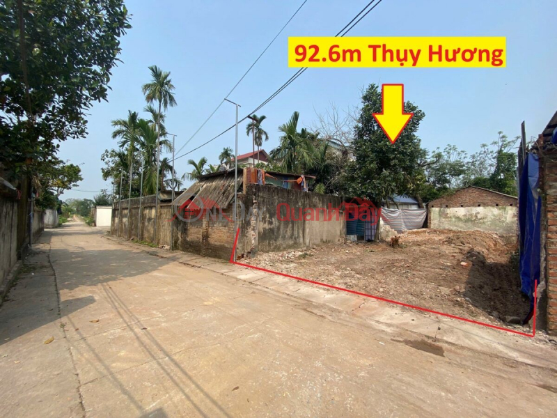 OWNER SELLS LAND LOT OF 92.6 METERS IN THUY HUONG-CHUONG MY WARD-HANOI Sales Listings
