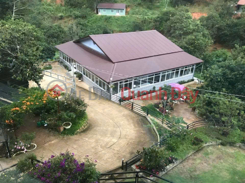 Cho thuê nhà 6 phòng homestay sức chứa 18 người giá 15 triệu tại đường Khe Sanh Đà Lạt Lâm Đồng _0