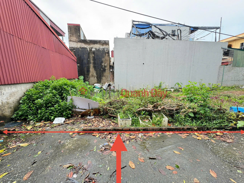 Bán 61m đất thôn Gia Tân, xã Quang Minh, Mê Linh. Mặt tiền rộng, oto đỗ Việt Nam, Bán đ 2,5 tỷ