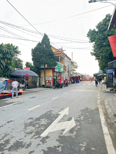 Selling a 100m2 (4*25m) plot of land in Dau Lo area - Doan Hung - Phu Tho. _0