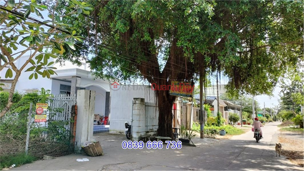 Property Search Vietnam | OneDay | Nhà ở, Niêm yết bán Nhà Phố Phường 4. Hưởng Không Gian Lớn và Đẹp