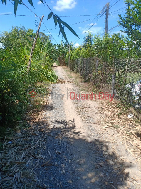 OWNER Needs to Urgently Sell Lot of Land in Nice Location in Tan Khanh Trung Commune, Lap Vo, Dong Thap _0