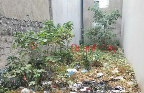 Beautiful and cheap land right next to Tu Khoat Ngu Hiep, area over 70m, price 4.75 billion, near car _0