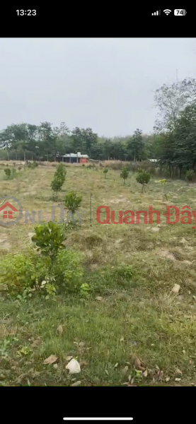 BEAUTIFUL LAND - GOOD PRICE - OWNER FOR SALE AT 623, DT 741 Street, An Binh Commune, Phu Giao District, Binh Duong, Vietnam | Sales | đ 1.1 Billion