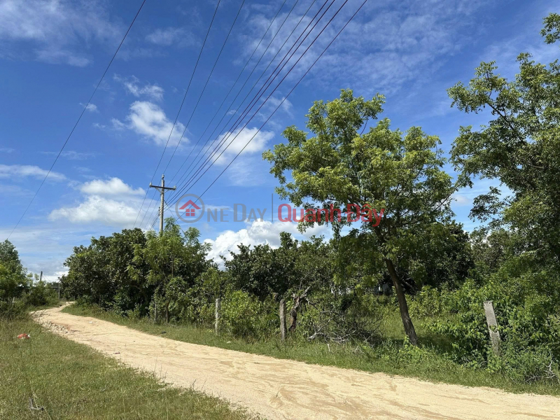 đ 3,5 tỷ HOT HOT - CHÍNH CHỦ CẦN BÁN LÔ ĐẤT TẠI Thôn La Vang 2, Ninh Sơn, Khánh Hòa