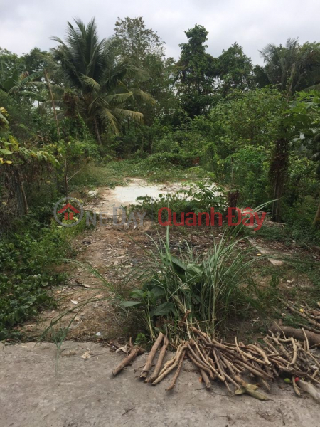 Property Search Vietnam | OneDay | , Sales Listings, Selling the frontage of Nga Cay Street, My Quy Ward, Long Xuyen City
