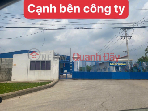 QUICK SALE OF Land Nice Location - Good Price In TAN HIEP - PHU GIAO - BINH DUONG _0