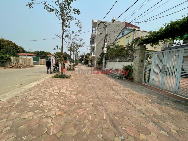 Property Search Vietnam | OneDay | Residential, Sales Listings | GARDEN HOME VILLA - 232M 03 storeys, VUU HO: 10m, HUNG VUNG CAR, at NAM HONG - DONG ANH 15 BILLION