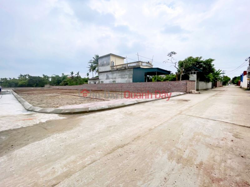 Land plot for sale near Binh Giang Hai Duong expressway intersection, price only 450 million, ready to transfer title immediately Sales Listings