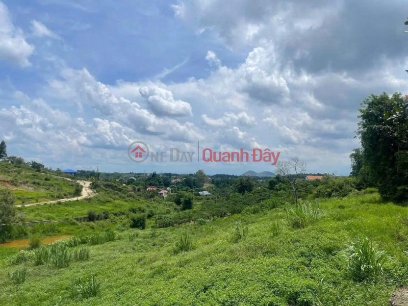 đ 3.9 Billion | 3880m2 land for sale in Ninh Gia, Duc Trong, Lam Dong, 3.9 billion VND.