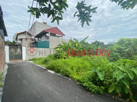 Land for sale in Ben Trung Bac Hong, 154m x 8.5m, 2 open spaces, divided into 3 lots, 7-seat car, price only 5.x billion TL. Contact: 0936123469 _0