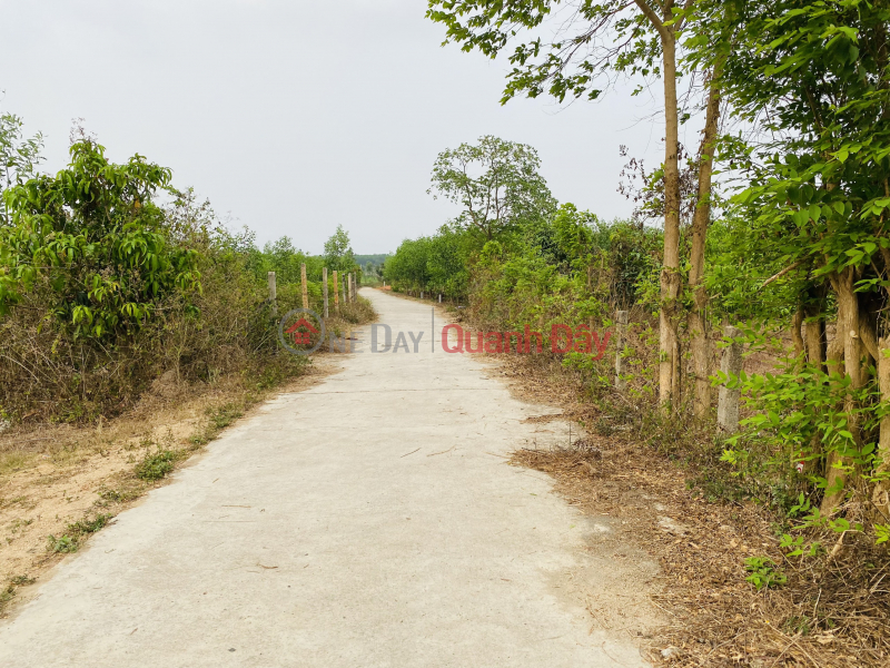 Property Search Vietnam | OneDay | Nhà ở | Niêm yết bán, Lô đất QH full thổ cư 500m2 tại Suối Tiên - Diên Khánh, giảm giá hấp dẫn!