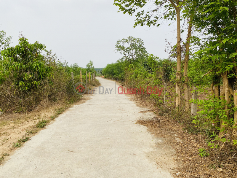 Property Search Vietnam | OneDay | Residential Sales Listings QH full residential land plot 500m2 at Suoi Tien - Dien Khanh, attractive discount!