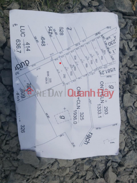 Property Search Vietnam | OneDay | Residential Sales Listings, GENERAL LAND - GOOD PRICE - Nice Location In Nhut Chanh Commune, Ben Luc District - Long An