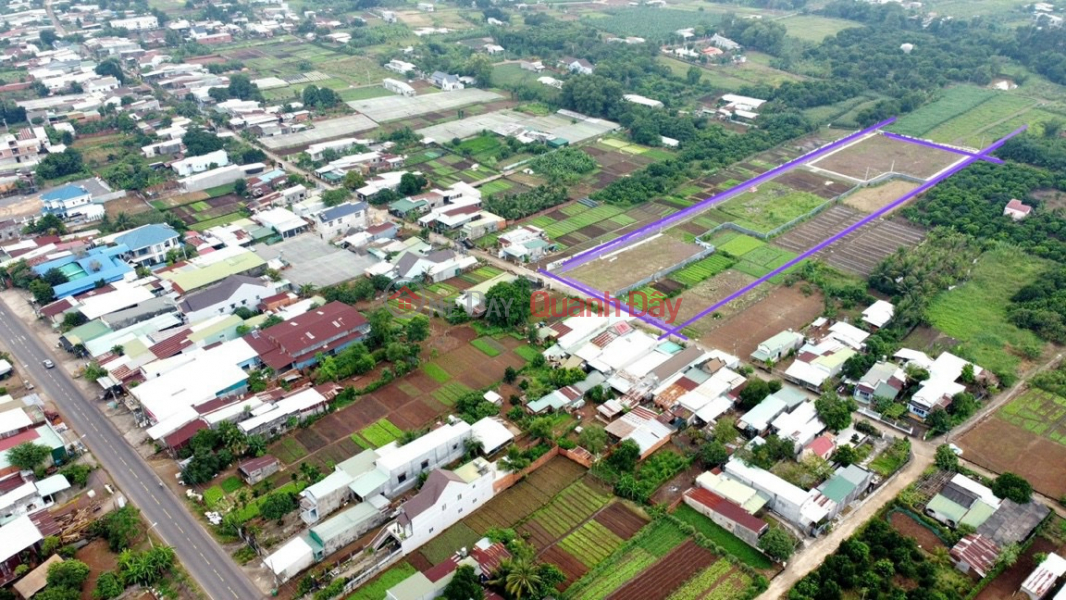 The owner urgently needs to sell a full residential land lot, frontage DT769, pink book, 7km from Long Thanh airport. (No Sales Listings