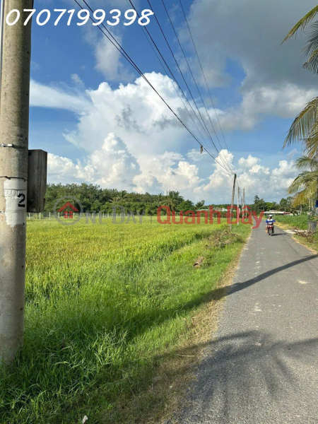 Owner needs to sell 4,000m2 of rice land in Tri Binh, Chau Thanh, Tay Ninh, Vietnam, Sales | đ 7.5 Billion