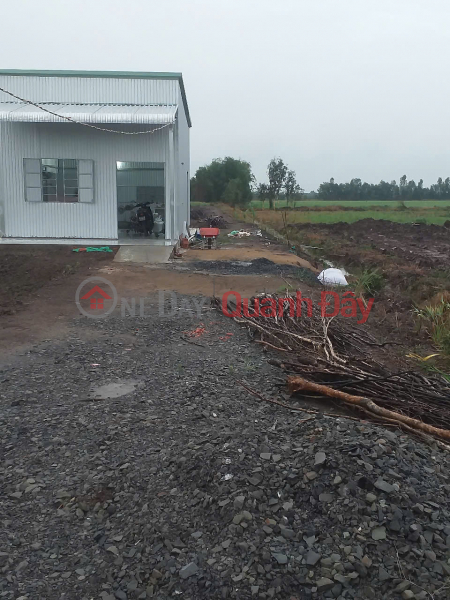 Owner Sells Prefabricated House And 1300m2 Of Land In Thuan Binh Commune, Thanh Hoa, Long An Vietnam, Sales đ 600 Million