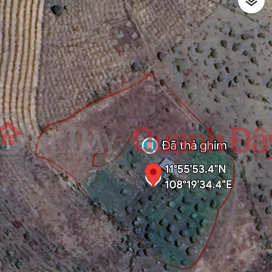 GOOD PRICE - OWNER Needs to Sell Coffee Land Quickly in Kim Cuc Dam Area, Ta Nung Commune, Da Lat, Lam Dong _0