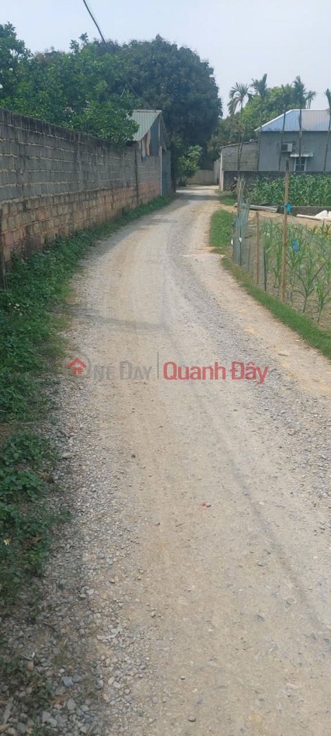 CHÍNH CHỦ BÁN LÔ ĐẤT ĐẸP 108,4M TẠI TÂN TIẾN-CHƯƠNG MỸ HÀ NỘI _0