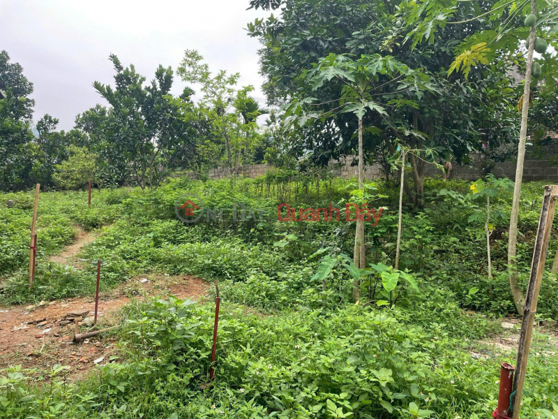 Property Search Vietnam | OneDay | Residential, Sales Listings, ONLY 330 MILLION FOR 158.6 SQUARE METERS OF RESIDENTIAL LAND, THANH SON COMMUNE, LUONG SON, HOA BINH.