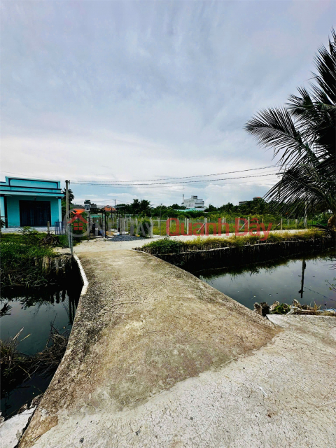 ĐẦU TƯ SINH LỜI - Chính Chủ Bán Lô Đất Khu phố Gò Tre, phường Long Thuận, Đồng Tháp _0