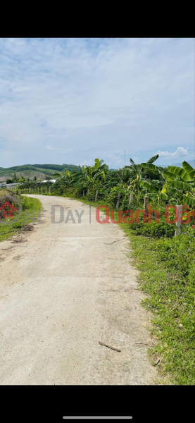 Property Search Vietnam | OneDay | Residential Sales Listings For sale 3 Apec apartments, THE FIRST AND ONLY RESORT APARTMENT IN PHU YEN and beautiful land lot in Khanh Hoa