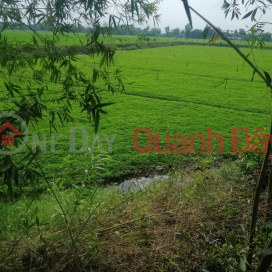 BEAUTIFUL LAND - GOOD PRICE - Land Lot For Sale Prime Location In Moc Hoa, Long An _0