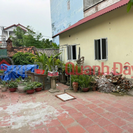 Urgent Sale of 84m2 Land Plot with 4-Level House in Chi Dong, Me Linh - Top Amenities, Profitable Investment _0