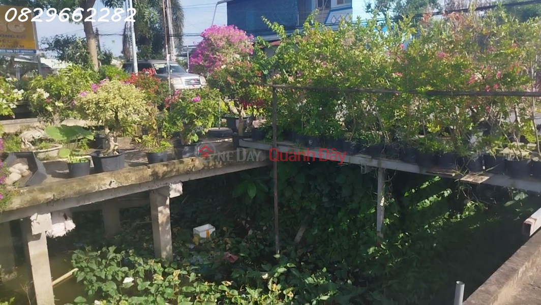 Bán Đất Thổ Cư Mặt Tiền Chính Đường Làng Hoa Sa Đéc, 200m2, SHR, Giá 3.5 Tỷ Niêm yết bán
