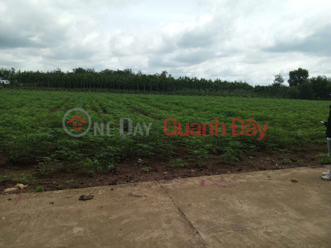 ĐẤT ĐẸP- Cần Bán Nhanh lô đất vị trí đẹp Khu An Linh huyện Phú Giáo, tỉnh Bình Dương _0