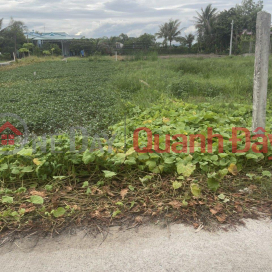 BEAUTIFUL LAND - PROFITABLE INVESTMENT - Owner needs to sell quickly Land Lot in Phuoc Loi Commune, Ben Luc, Long An _0