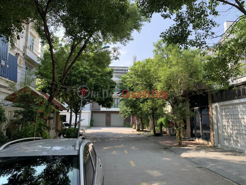 Property Search Vietnam | OneDay | Sales Listings, Selling street land lot in Tue Tinh urban area, Hai Duong city.