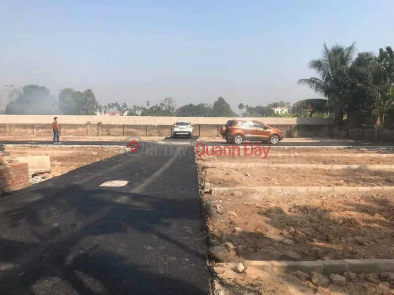 Property Search Vietnam | OneDay | Residential | Sales Listings, OWNER FOR SALE 52.8M2 BEAUTIFUL LAND - LONGEVITY, FORTUNE, HANOI