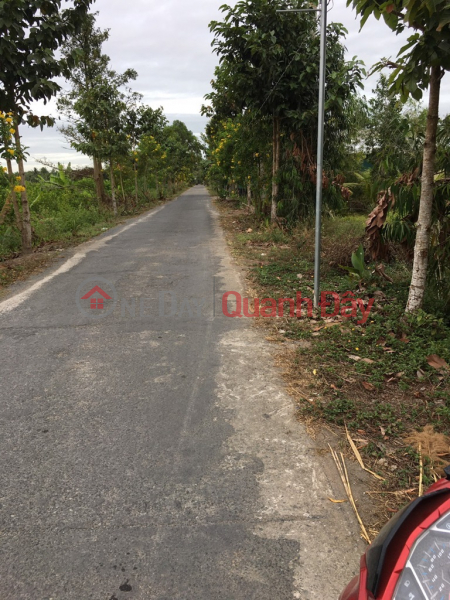 OWNER NEEDS TO SELL FAST LOT OF LAND, Beautiful Location In Binh Minh Town, Vinh Long | Vietnam | Sales | ₫ 1.35 Billion