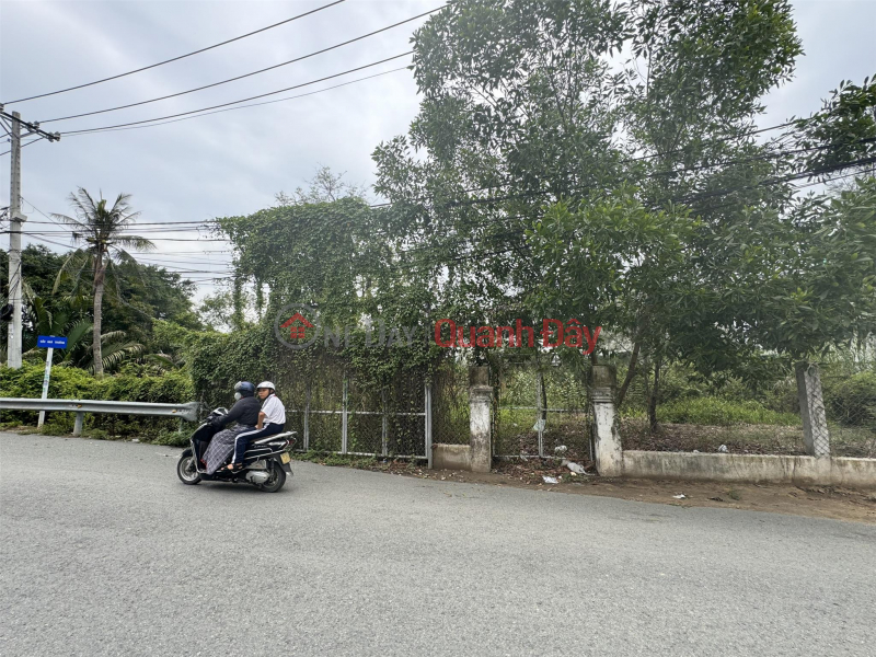 Property Search Vietnam | OneDay | Residential | Sales Listings, BEAUTIFUL LAND - GOOD PRICE - Quick Sale 1275m2 Quick Selling Price 61 million VND\\/M2, 2 frontages, Truong Thanh Ward District 9