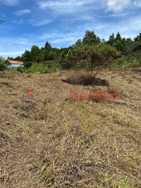 BEAUTIFUL LAND - GOOD PRICE - For Quick Sale Land Lot Prime Location In Center Loc Chau - Bao Loc Sales Listings