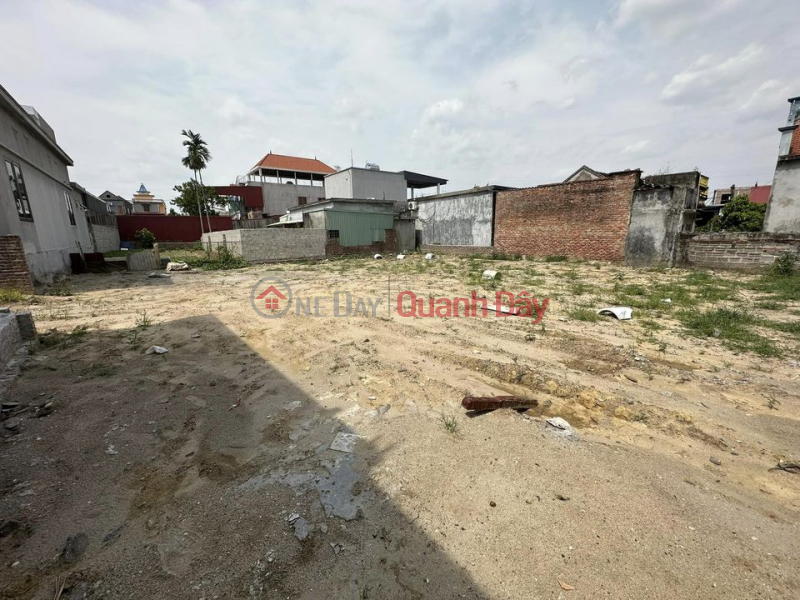 Property Search Vietnam | OneDay | Residential | Sales Listings | The owner needs to sell quickly Land plot in Hoang Lau - An Duong - Hai Phong.