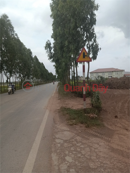 Selling 420,000m2 of land for warehouse and factory for 50 years in Thanh Mien District, Hai Duong Province Sales Listings