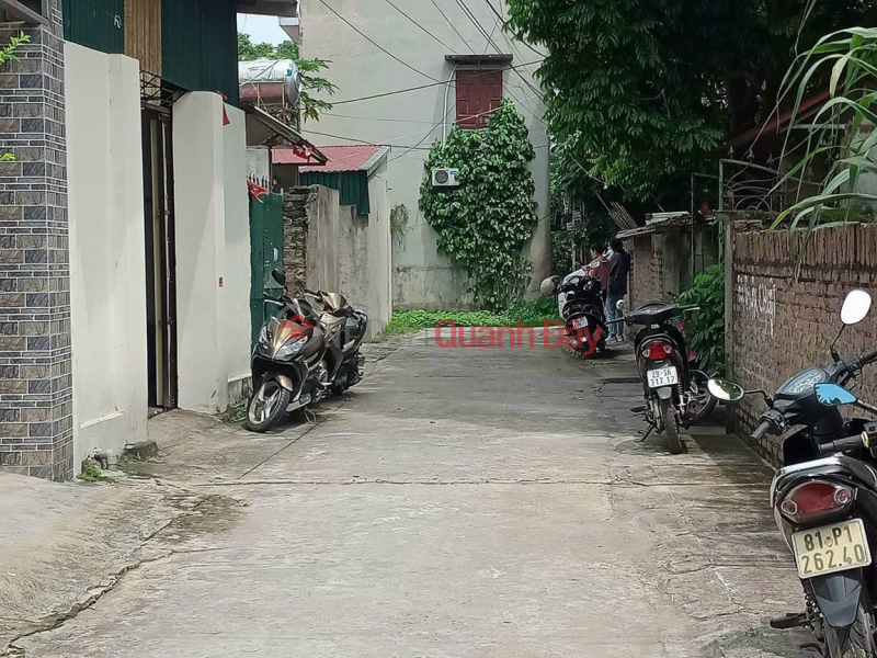 đ 1.65 Billion | HIGH PROFIT INVESTMENT OPPORTUNITY, SELL LAND GIVEN HOME IN Xuan Lo Village, Tan Dan Commune, Soc Son District, Hanoi