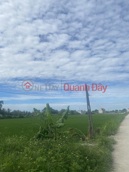 BEAUTIFUL LAND - GOOD PRICE - Owner Sells Land Lot on Highway 10, Nga Son District, Thanh Hoa Province | Vietnam | Sales, đ 7 Billion